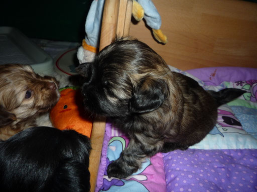 ... geb dir gleich ein Bussi ... 4W
