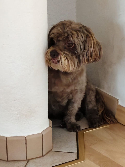 ... war grad beim Frisör ... 12,11J