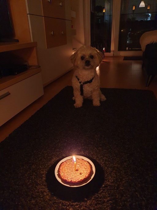 ... feier meinen 9. Geburtstag ... 9J