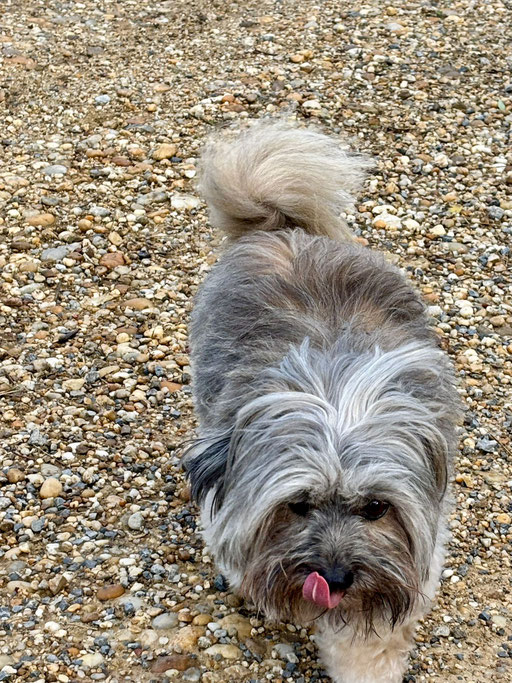 ... wo sind meine Freunde ... 10J