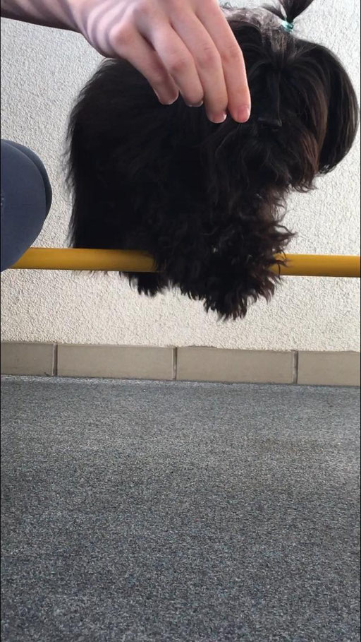 ... mein Training ... 5,4J