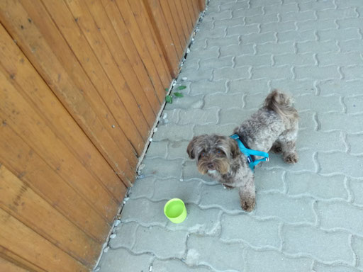 ... meins ... 2J