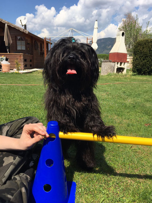 ... fang schon mal mit dem Training an ... 1,6J