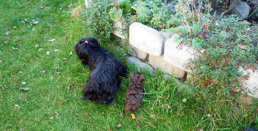... entdecke den Garten ... 8W