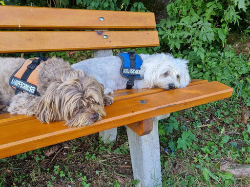 ... wir sind geschlaucht ... 9,11J