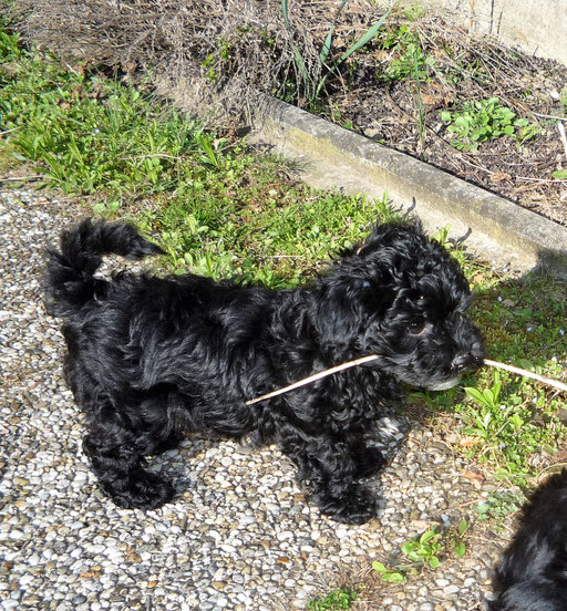 ... meine Beute ... 9W
