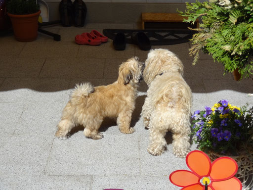 ... Bussi für meine große Schwester Ayana 13,5 Wo