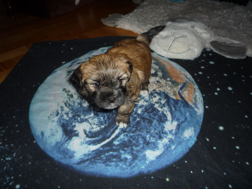 ... behersche die Welt ... 5 Wo