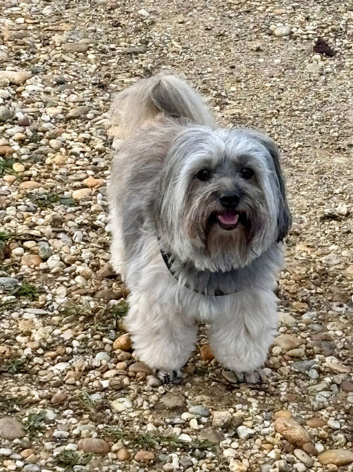 ... bin heute schon 10 Jahre alt ... 10J