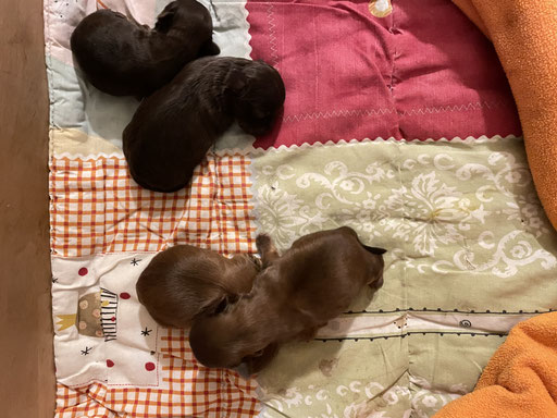 ... Kuschelzeit ... 1W