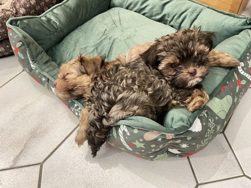 ... kuscheln ... 9W