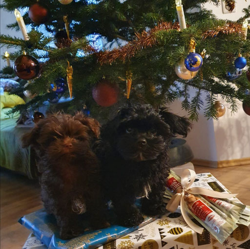 ... wir wünschen erholsame Weihnacht 2020 ... 3M