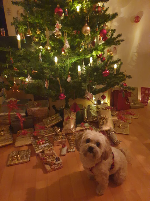 ... Frohe Weihnachten 2021 ... 7,11J