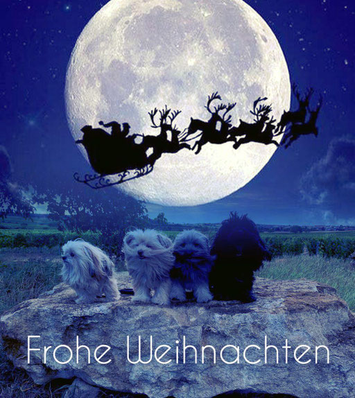 ... wir wünschen Frohe Weihnacht ... 2020 5,2J