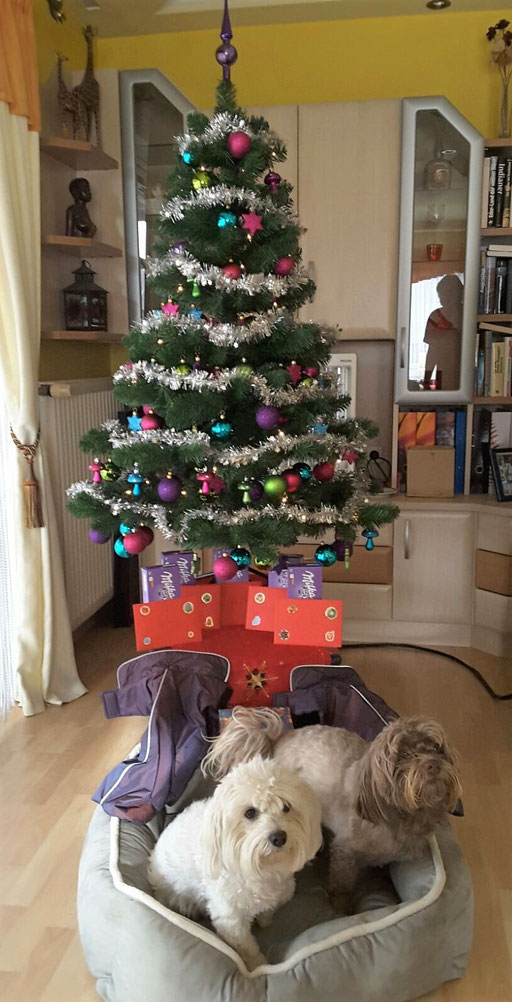 ... Weihnachten 2016 ... 4,3J