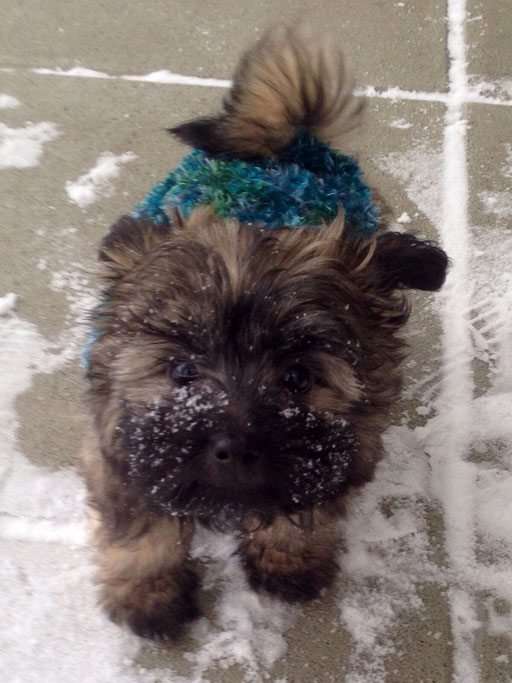 ... mein erster Schnee ... 10W