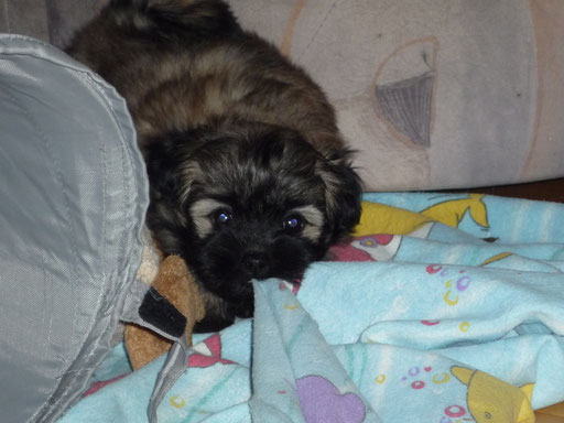 ... meine Beute ... 7W