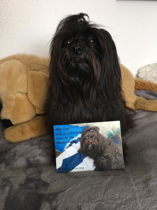 ... Mama Darya, hab dich lieb, bin heute das Geburtstagskind  ... 4J