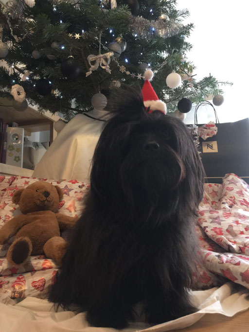 ... Weihnachten 2018 ... 3,2J