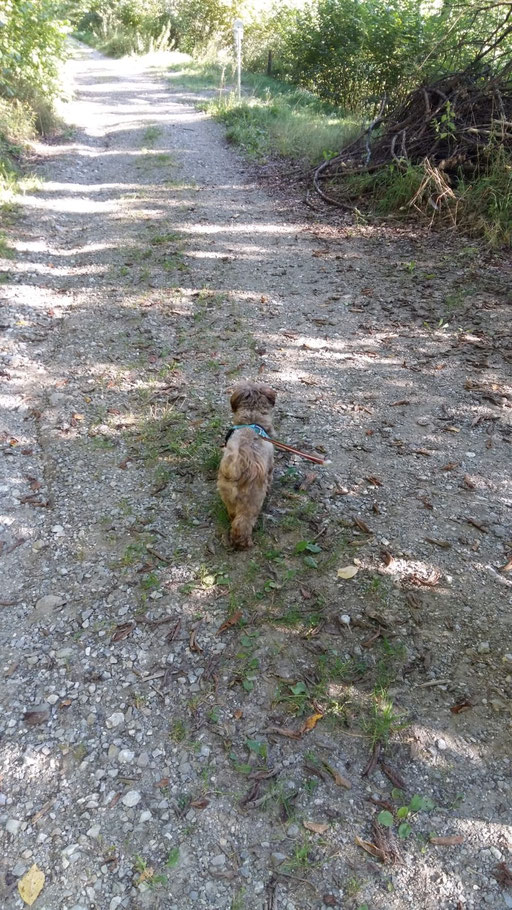 ... hab mich getarnt ... 2,1J