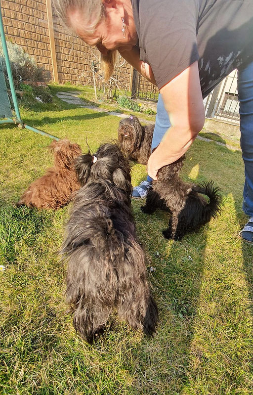... Lenya & Lasko zu Besuch bei unserer "Ursprungsfamilie" ... 6M