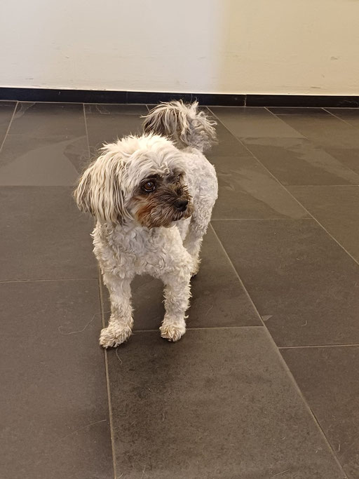 ... warte auf´s Frauli ... 14,5J