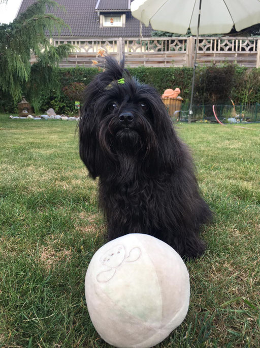 ... hab den Ball ... 3,9J
