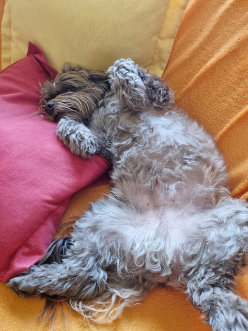 ... muss mich erholen von Silvester ... 9,3J