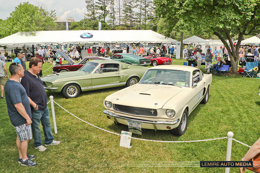 Shelby GT 350 1966