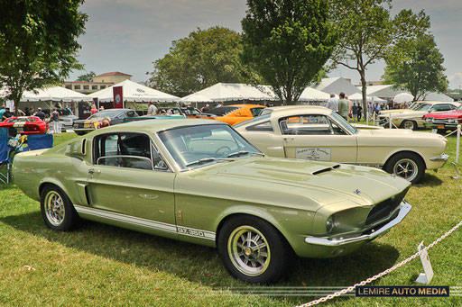 Shelby GT350 1967