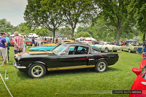 Shelby GT 350H 1966