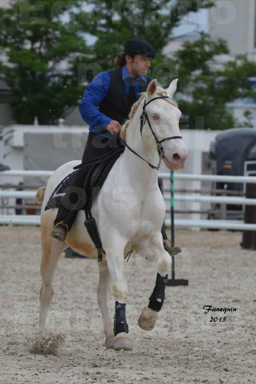 Salon Equitaine de Bordeaux 2015 - Concours d'Equitation de Travail avec chevaux Ibériques - Épreuves de Maniabilités Chronométré - 006