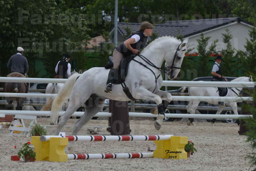 Salon Equitaine de Bordeaux 2015 - Concours d'Equitation de Travail avec chevaux Ibériques - Épreuves de Maniabilités Chronométré - 021