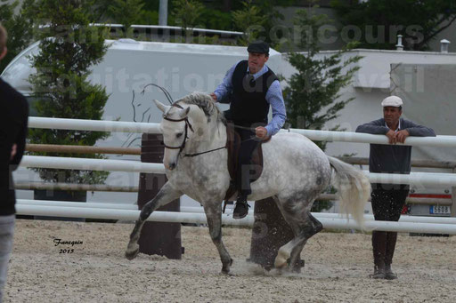 Salon Equitaine de Bordeaux 2015 - Concours d'Equitation de Travail avec chevaux Ibériques - Épreuves de Maniabilités Chronométré - 108