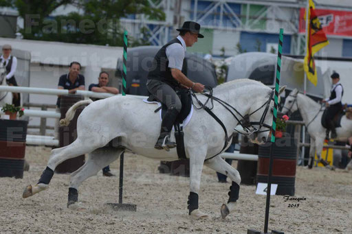 Salon Equitaine de Bordeaux 2015 - Concours d'Equitation de Travail avec chevaux Ibériques - Épreuves de Maniabilités Chronométré - 162