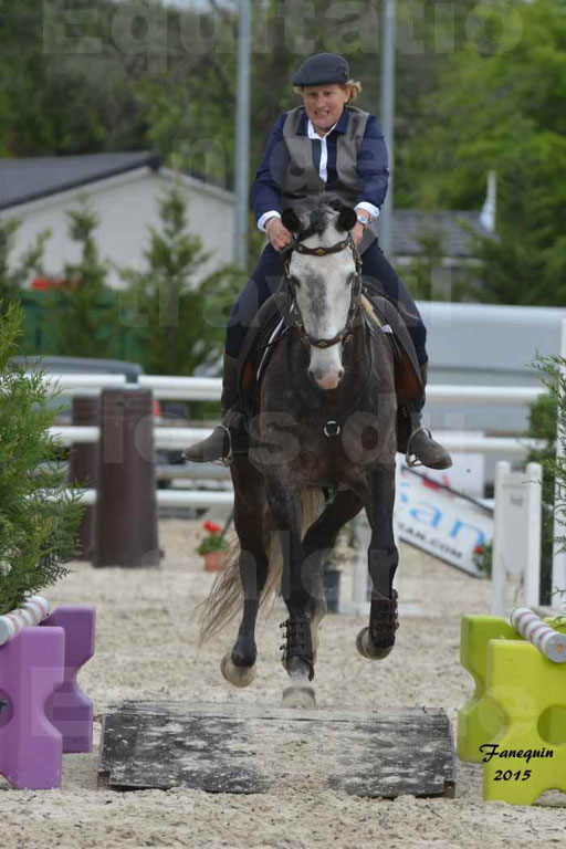 Salon Equitaine de Bordeaux 2015 - Concours d'Equitation de Travail avec chevaux Ibériques - Épreuves de Maniabilités Chronométré - 090