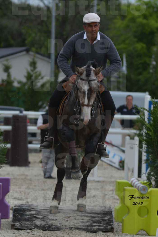 Salon Equitaine de Bordeaux 2015 - Concours d'Equitation de Travail avec chevaux Ibériques - Épreuves de Maniabilités Chronométré - 078