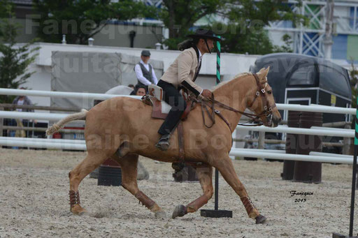 Salon Equitaine de Bordeaux 2015 - Concours d'Equitation de Travail avec chevaux Ibériques - Épreuves de Maniabilités Chronométré - 129