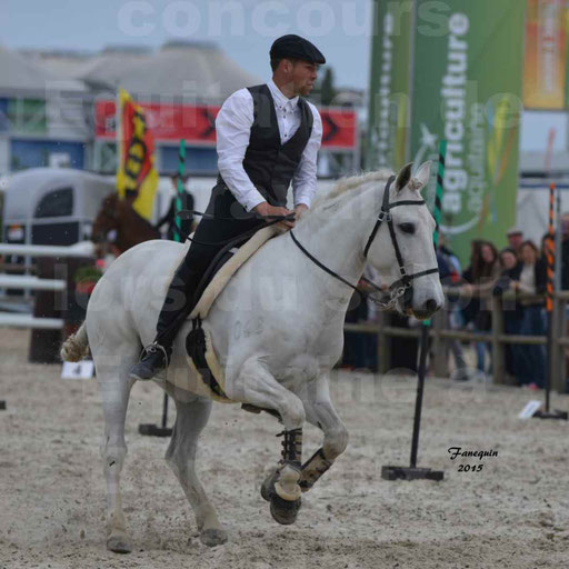 Salon Equitaine de Bordeaux 2015 - Concours d'Equitation de Travail avec chevaux Ibériques - Épreuves de Maniabilités Chronométré - 035