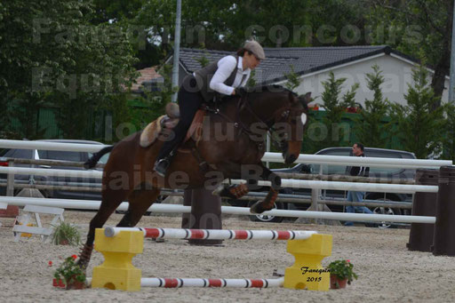 Salon Equitaine de Bordeaux 2015 - Concours d'Equitation de Travail avec chevaux Ibériques - Épreuves de Maniabilités Chronométré - 016