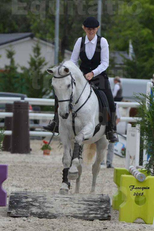 Salon Equitaine de Bordeaux 2015 - Concours d'Equitation de Travail avec chevaux Ibériques - Épreuves de Maniabilités Chronométré - 148
