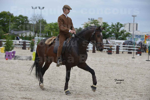 Salon Equitaine de Bordeaux 2015 - Concours d'Equitation de Travail avec chevaux Ibériques - Épreuves de Maniabilités Chronométré - 063
