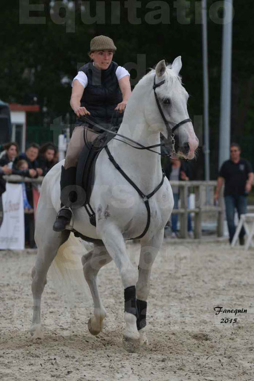 Salon Equitaine de Bordeaux 2015 - Concours d'Equitation de Travail avec chevaux Ibériques - Épreuves de Maniabilités Chronométré - 023