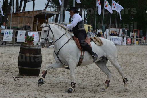 Salon Equitaine de Bordeaux 2015 - Concours d'Equitation de Travail avec chevaux Ibériques - Épreuves de Maniabilités Chronométré - 075
