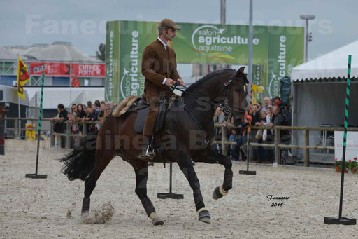 Salon Equitaine de Bordeaux 2015 - Concours d'Equitation de Travail avec chevaux Ibériques - Épreuves de Maniabilités Chronométré - 060