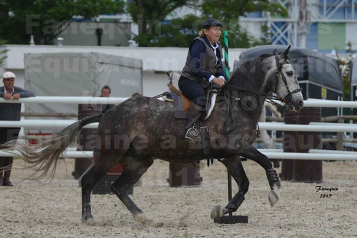 Salon Equitaine de Bordeaux 2015 - Concours d'Equitation de Travail avec chevaux Ibériques - Épreuves de Maniabilités Chronométré - 091