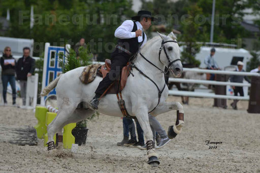 Salon Equitaine de Bordeaux 2015 - Concours d'Equitation de Travail avec chevaux Ibériques - Épreuves de Maniabilités Chronométré - 072