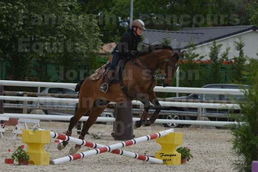 Salon Equitaine de Bordeaux 2015 - Concours d'Equitation de Travail avec chevaux Ibériques - Épreuves de Maniabilités Chronométré - 045