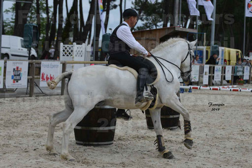 Salon Equitaine de Bordeaux 2015 - Concours d'Equitation de Travail avec chevaux Ibériques - Épreuves de Maniabilités Chronométré - 040