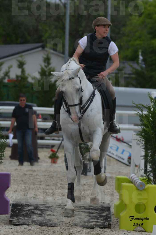 Salon Equitaine de Bordeaux 2015 - Concours d'Equitation de Travail avec chevaux Ibériques - Épreuves de Maniabilités Chronométré - 025